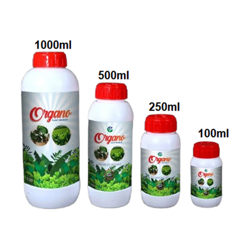 Organo-01